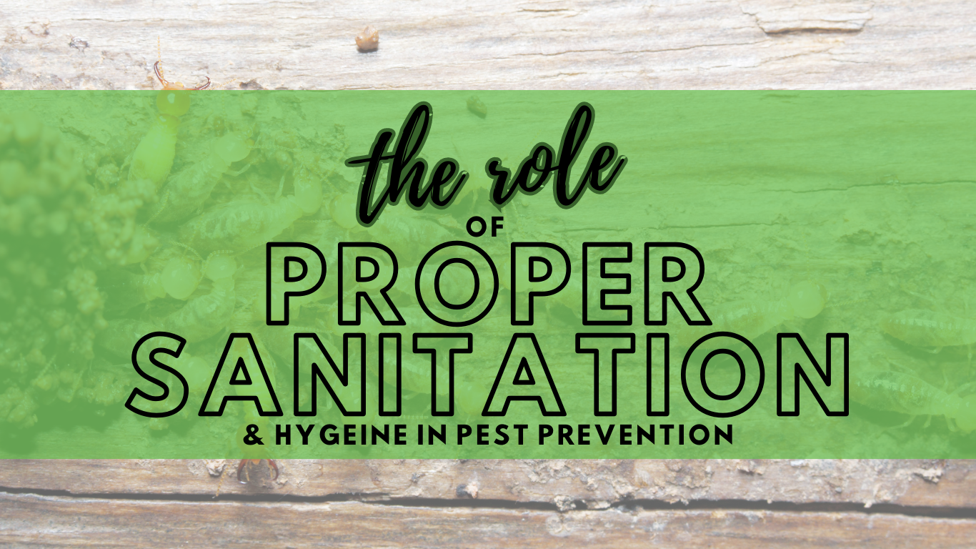 role of proper sanitation and hygiene in pest prevention